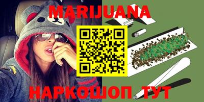 прущие грибы Краснодар